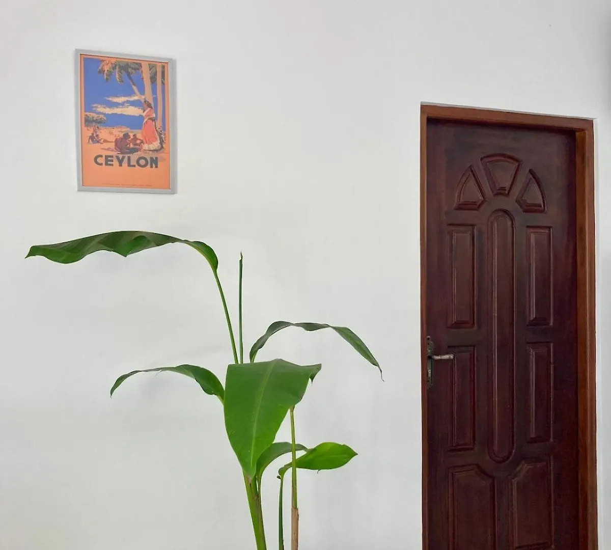 Tropical Annexe At Costa'S Villa, Entire House Kepungoda Sri Lanka